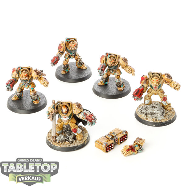 Dark Angels - 5 x Deathwing Terminator Squad - bemalt