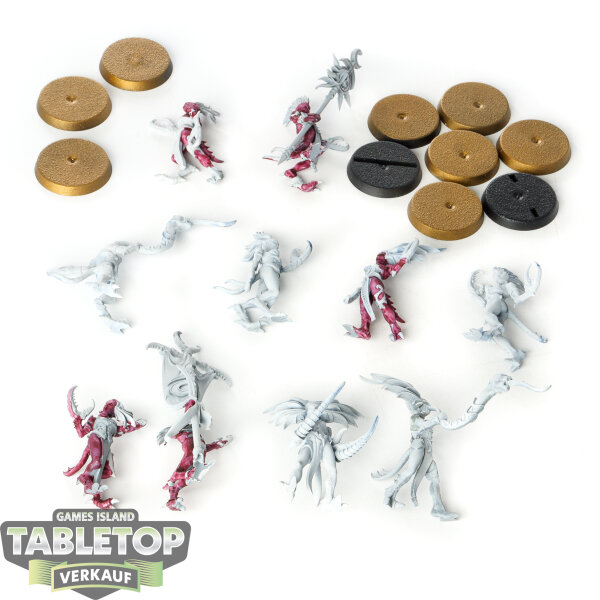 Hedonites of Slaanesh - 10 x Daemonettes    - teilweise bemalt