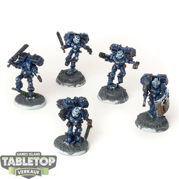 Ultramarines - 5 x Vanguard Veterans klassisch - bemalt