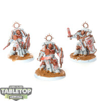 Space Marines - 3 x Bladeguard Veterans - bemalt