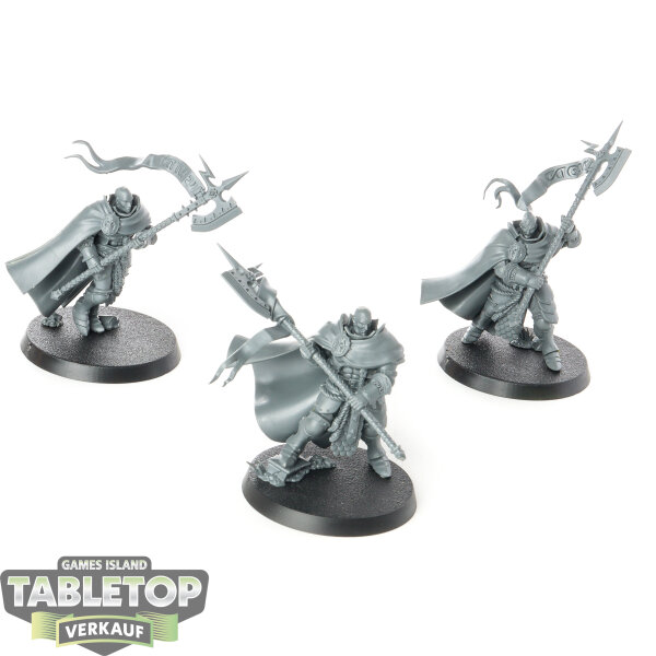 Stormcast Eternals - 3 x Praetors - unbemalt