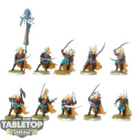 Cities of Sigmar - 10x Black Ark Corsairs - teilweise bemalt