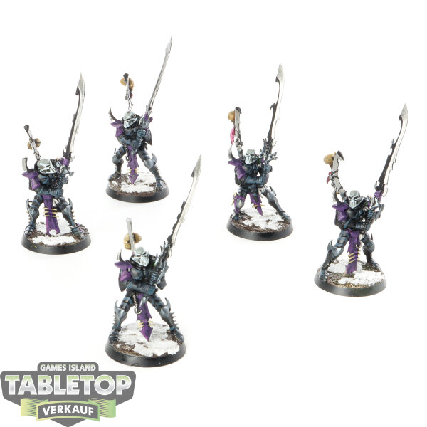 Drukhari - 5 x Incubi - bemalt