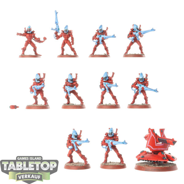 Aeldari - 10 x Guardian Defenders (Classic) - bemalt