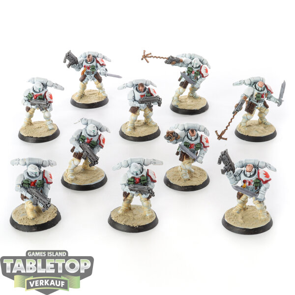White Scars - 10 x Primaris Reivers - bemalt