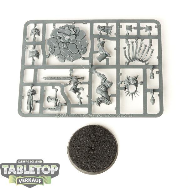 Stormcast Eternals - Gardus Steel Soul - im Gussrahmen