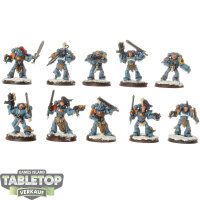 Space Wolves - 10 x Grey Hunters - bemalt