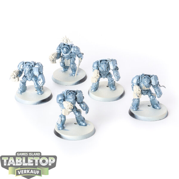 Space Marines - 5 Terminator Squad - teilweise bemalt