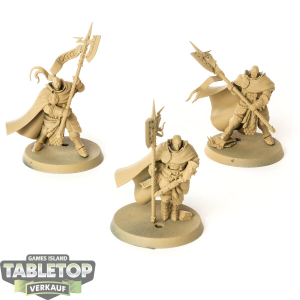 Stormcast Eternals - 3 x Praetors - grundiert