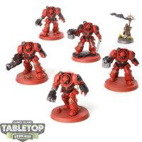 Space Marines - 5 x Terminator Squad - bemalt