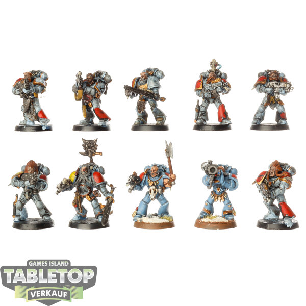 Space Wolves - 10 Grey Hunters klassisch - bemalt