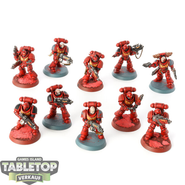 Space Wolves - 10 Intercessors - bemalt