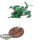 Salamanders - Stormhawk Interceptor - bemalt