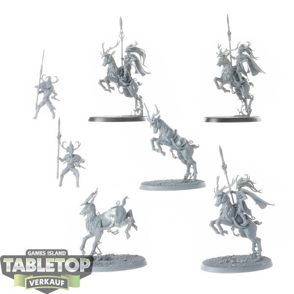 Wood Elf Realms - 5 x Wild Riders - teilweise bemalt