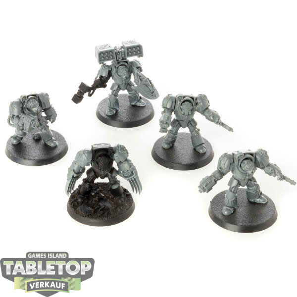 Dark Angels - 5 x Deathwing Terminator Squad (Classic) - teilweise bemalt