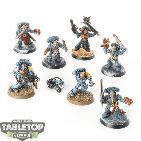 Space Wolves - 7 x Grey Hunters - teilweise bemalt