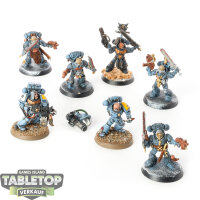 Space Wolves - 7 x Grey Hunters - teilweise bemalt