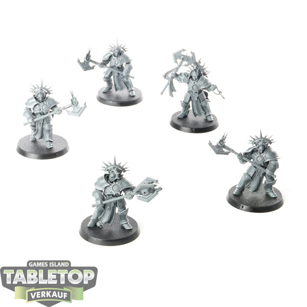 Stormcast Eternals - 5 x Decimators - unbemalt
