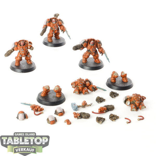 Leagues of Votann - 5 x Einhyr Hearthguard - bemalt