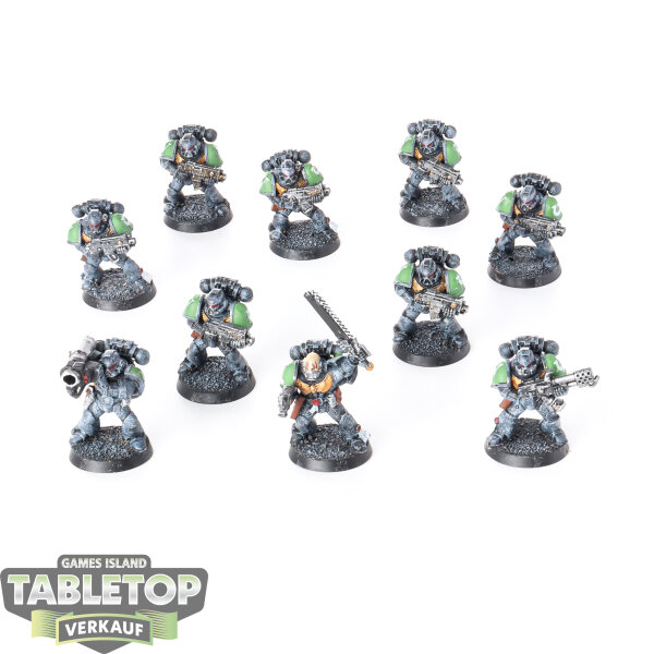 Ultramarines - 10 x Tactical Marines (Classic) - bemalt