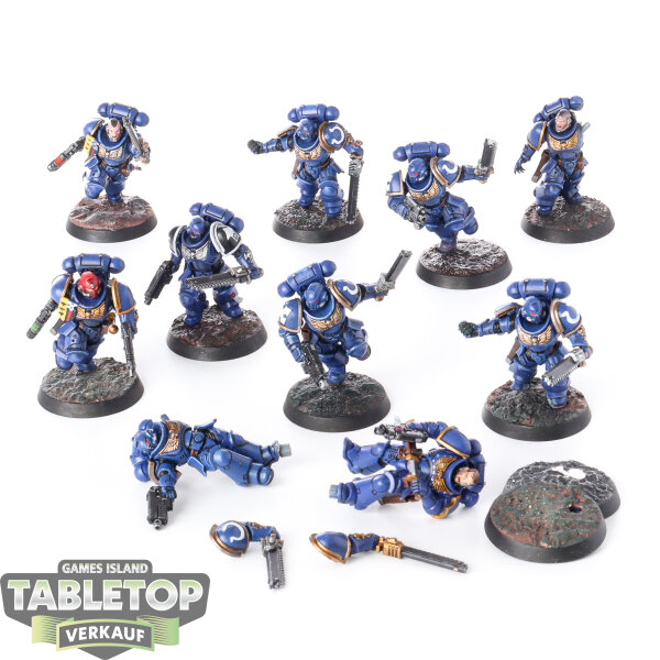 Ultramarines - 10 x Assault Intercessors - bemalt