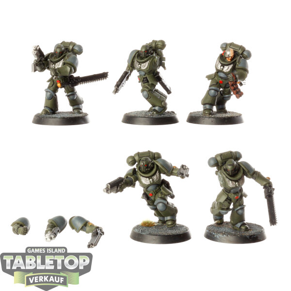 Space Marines - 5x Assault Intercessors - bemalt