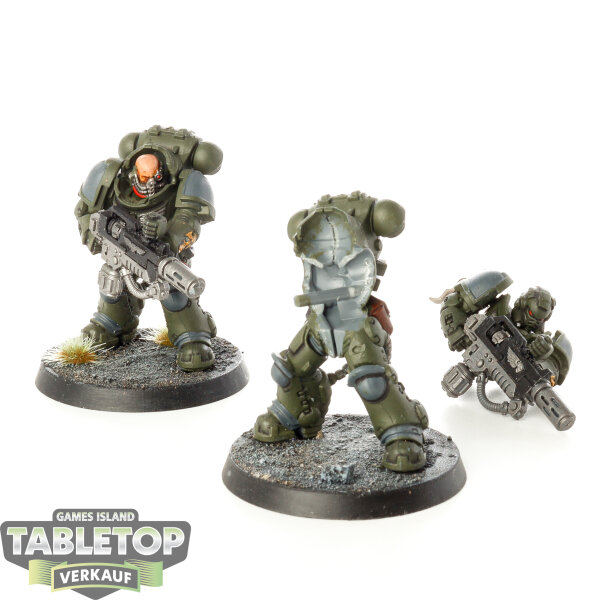 Space Marines - 2x Primaris Eradicators - bemalt