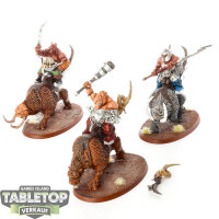 Ogor Mawtribes - 3x Mournfang Pack - bemalt