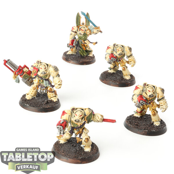 Dark Angels - 5 x Terminator Squad (Classic) - bemalt