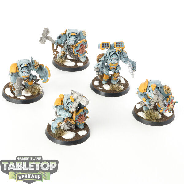 Space Wolves - 5 x Wolf Guard Terminators - bemalt