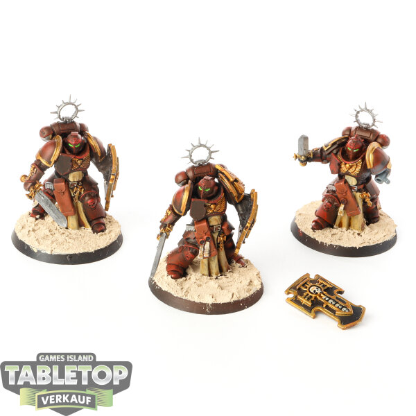 Space Marines - 3 x Bladeguard Veterans - bemalt