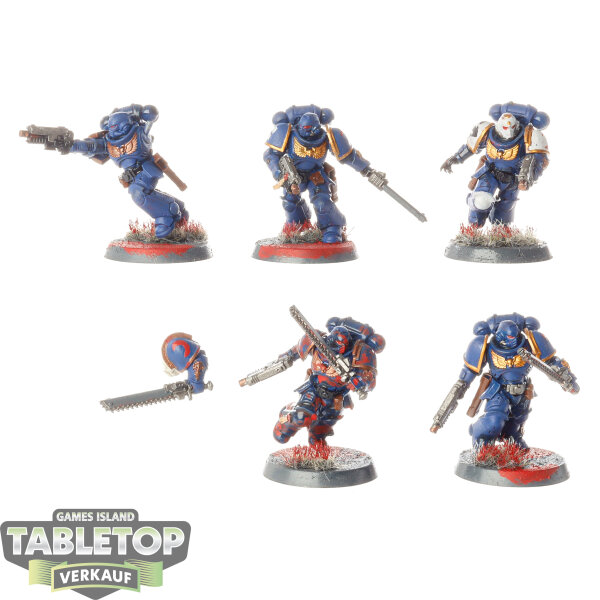 Space Marines - 5x Assault Intercessors - bemalt