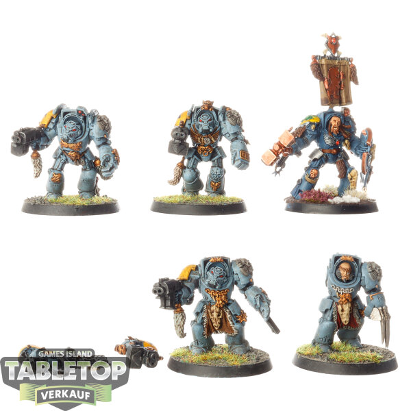 Space Wolves - 5 x Wolf Guard Terminators - bemalt