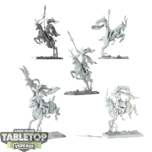 Wood Elf Realms - 5x Wild Riders - teilweise bemalt