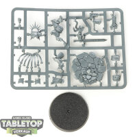Stormcast Eternals - Gardus Steel Soul - im Gussrahmen