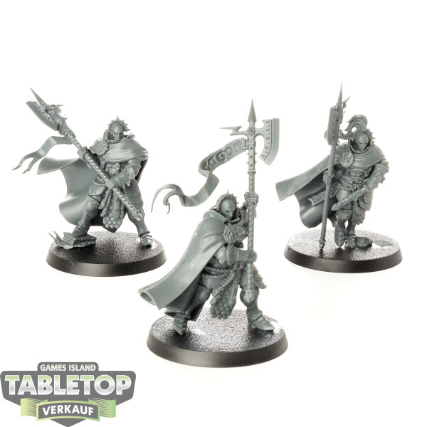 Stormcast Eternals - 3 x Praetors - unbemalt