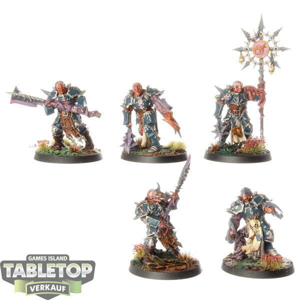 Slaves to Darkness - 5 x Chaos Chosen - bemalt