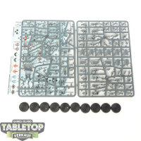Cities of Sigmar - 10 x Freeguild Steelhelms - im Gussrahmen