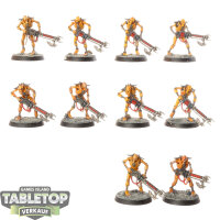 Necrons - 10 Necron Warriors - bemalt