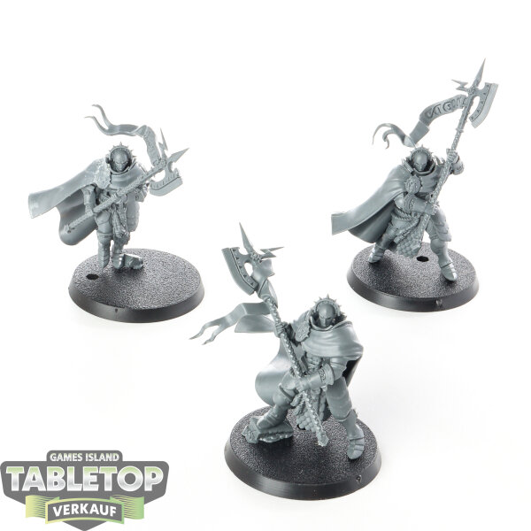 Stormcast Eternals - 3 x Praetors - unbemalt