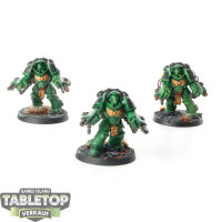 Salamanders - 3x Primaris Aggressors - bemalt