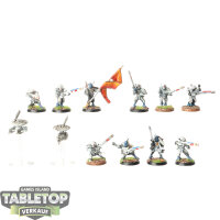 Tau Empire - 10 x Fire Warriors Strike Team - bemalt