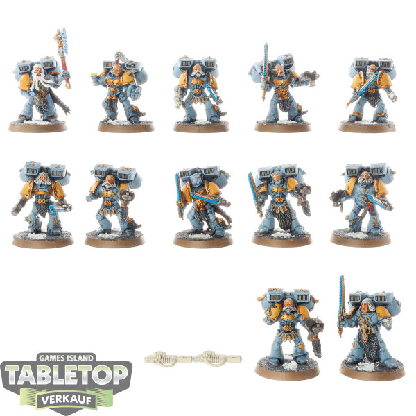 Space Wolves - 12 x Vanguard Veteran Squad - bemalt