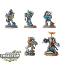 Space Wolves - 5 x Grey Hunters - bemalt