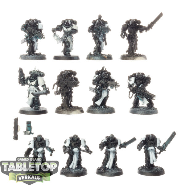 Black Templars - 12 x Primaris Crusader Squad - teilweise bemalt