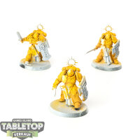 Space Marines - 3 x Bladeguard Veterans - teilweise bemalt