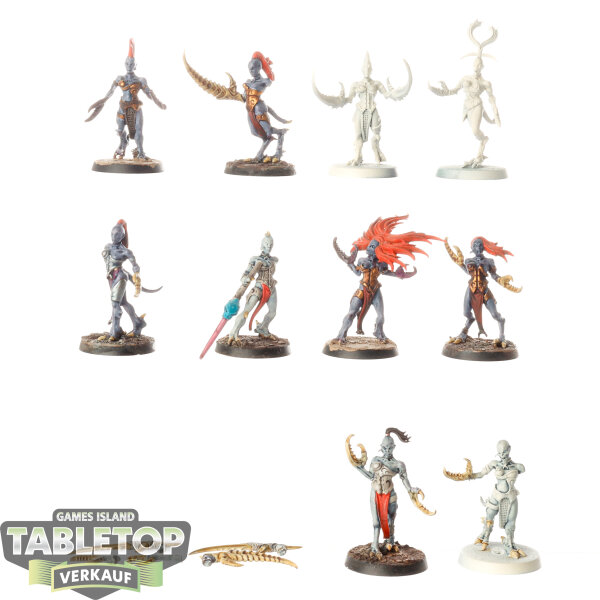 Hedonites of Slaanesh - 10 x Daemonettes of Slaanesh - teilweise bemalt