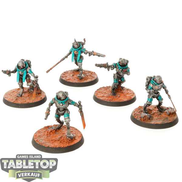 Adeptus Mechanicus - 5 Sicarian Infiltrators - bemalt