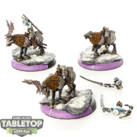 Legion of Everblight - 3 x Raptors - bemalt