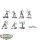Legion of Everblight - 7 x Blighted Archers - bemalt